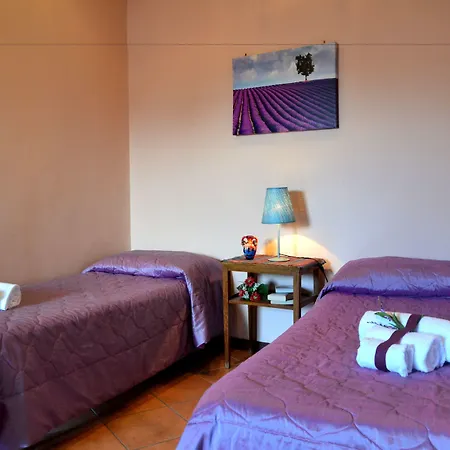 Terra Niura 3*